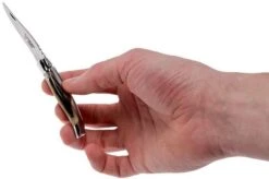 Laguiole En Aubrac Pocket Knife 7 Cm Horn, L0207PCI-SSI1 -The Adventure Kit AUL0207PCI SSI1 08 laguiole en aubrac aul0207pci ssi1 08